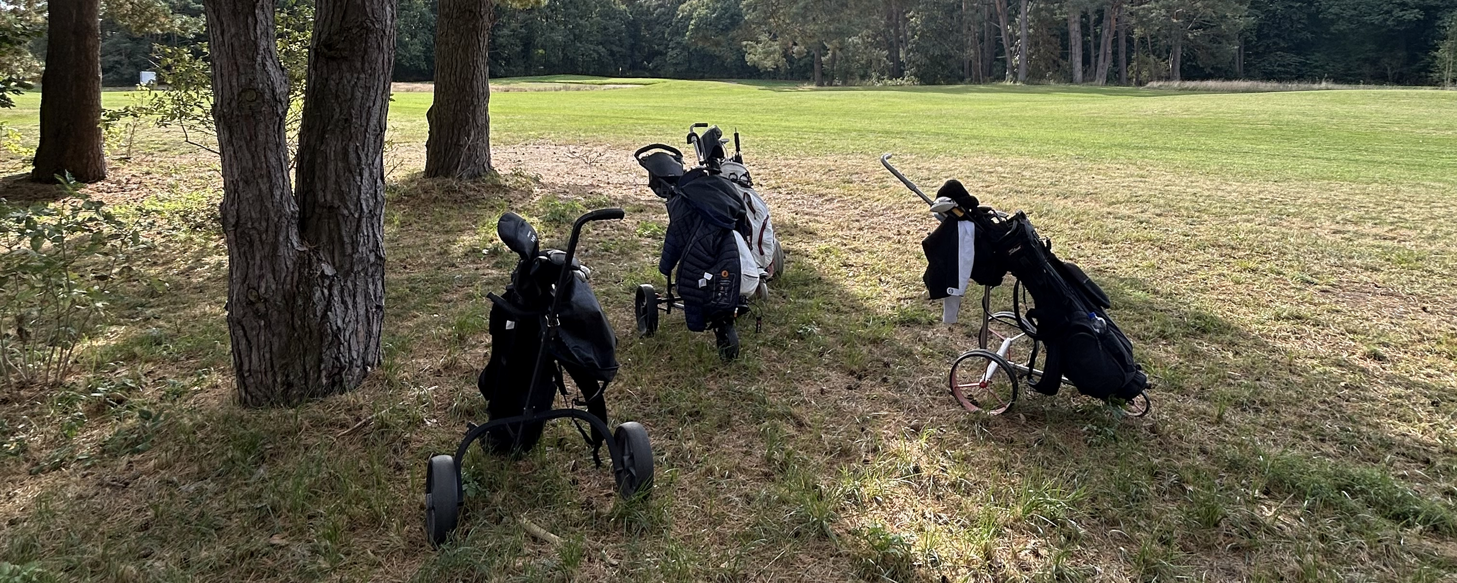 TP Golf Usedom 2024